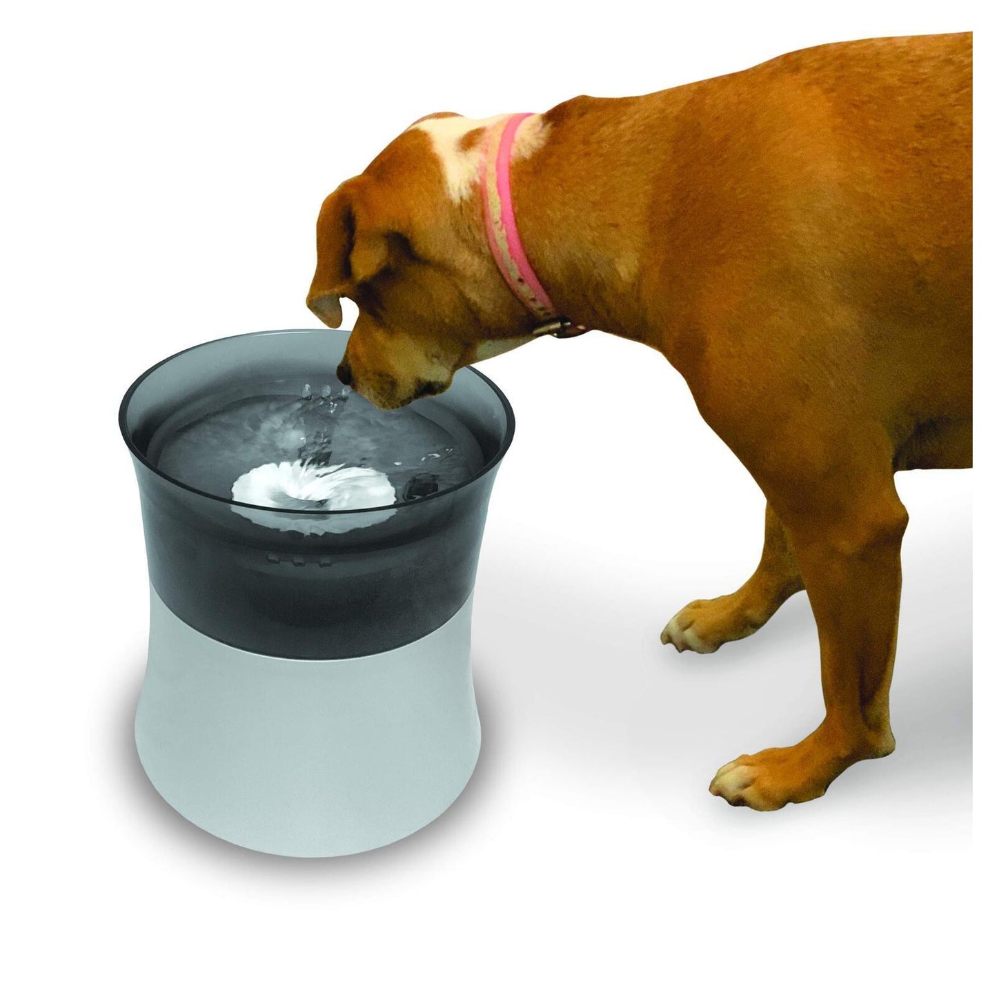 Pioneer Pet Vortex Elevated Filtered Water Fountain for Cats & Dogs 3.7L