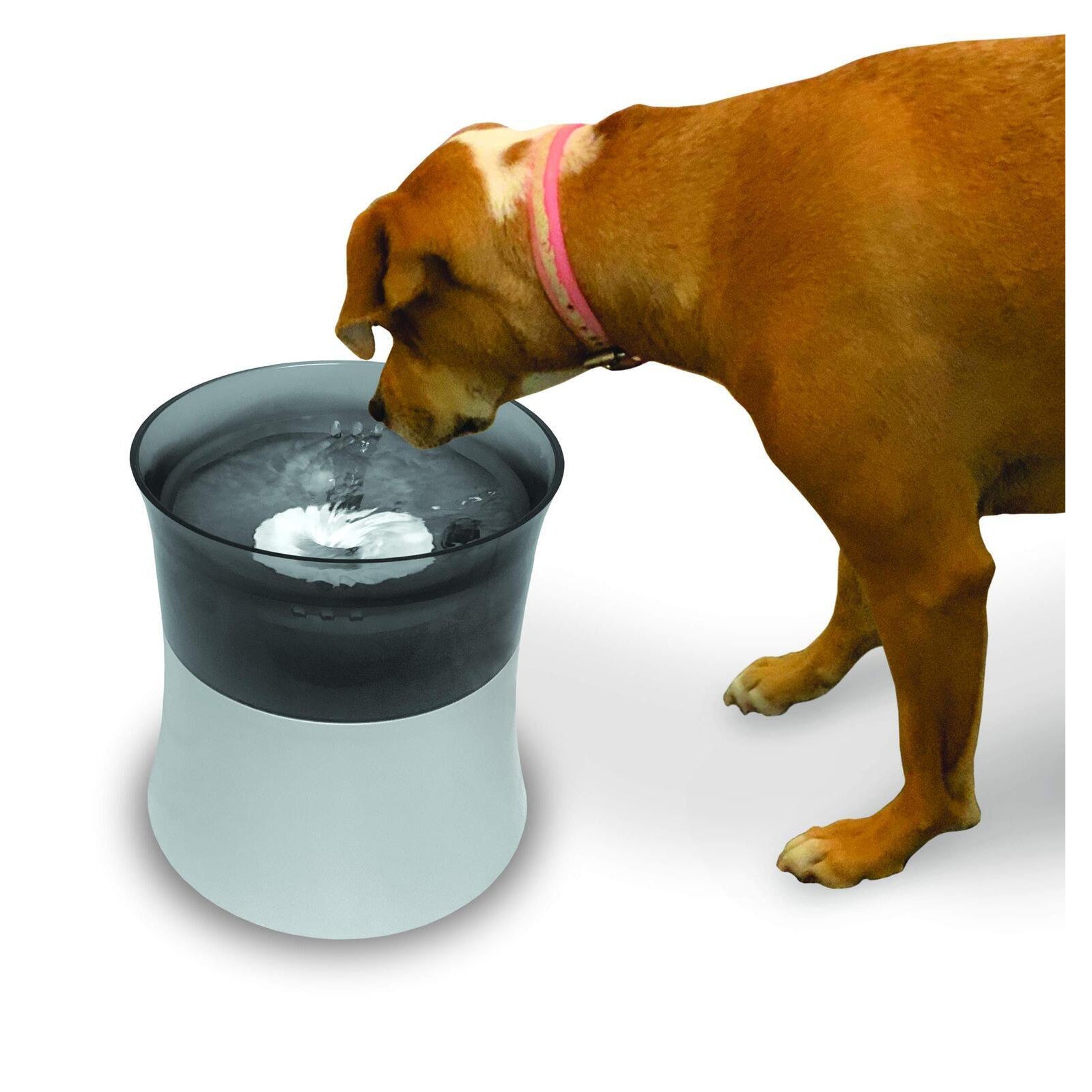 Pioneer Pet Vortex Elevated Filtered Water Fountain for Cats & Dogs 3.7L
