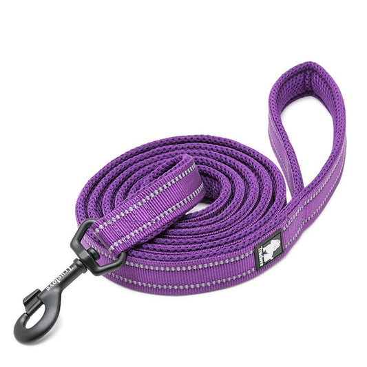 Reflective Pet Leash 2 meters Purple L