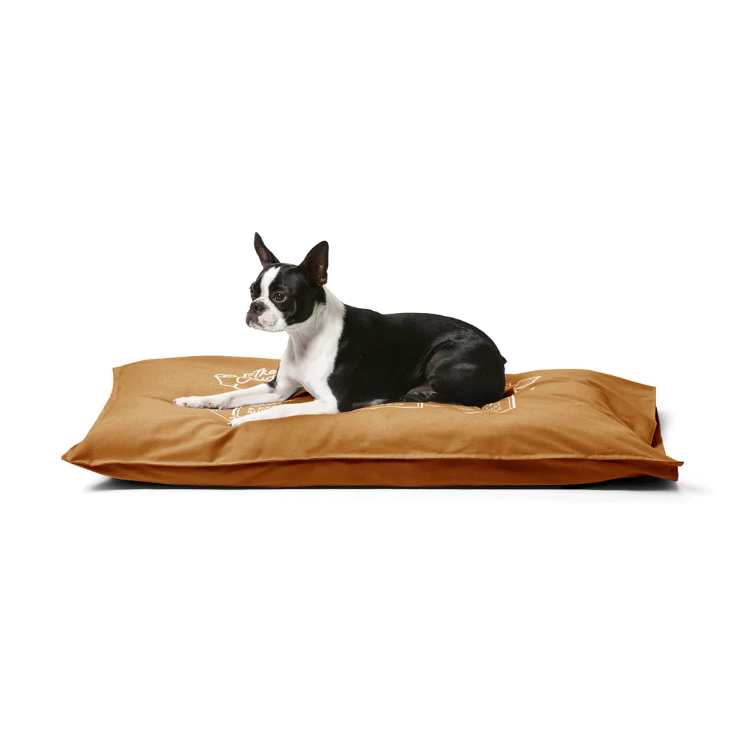 Snooza Summer Cotton Canvas Pet Futon – Caramel