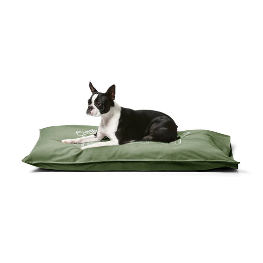 Snooza Summer Cotton Canvas Pet Futon – Fern