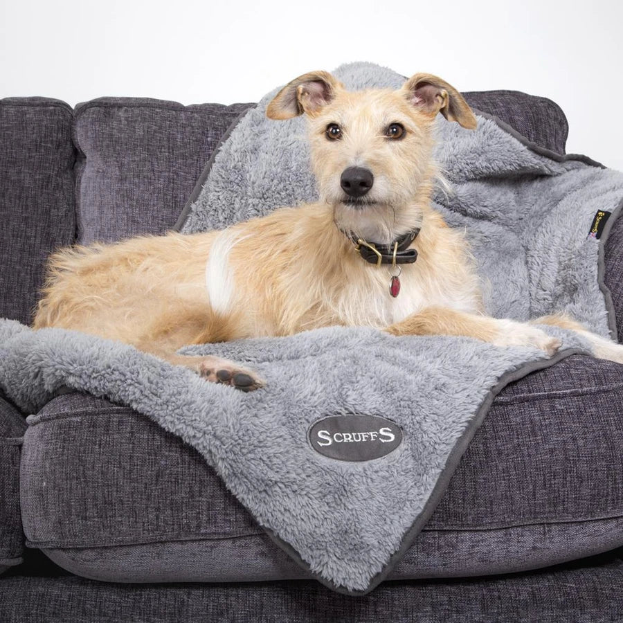 Scruffs Cosy Blanket – Grey