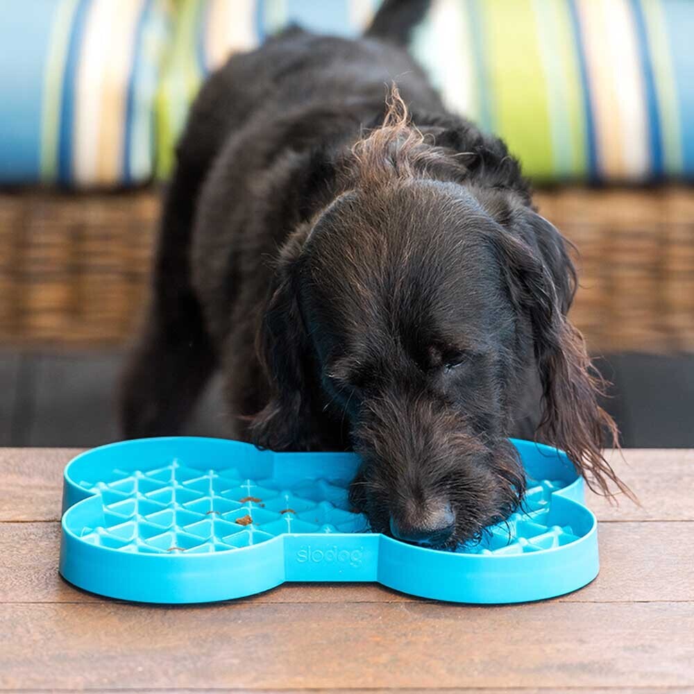 SloDog No Gulp Bone-Shaped Slow Food Plate for Cats & Dogs - Blue