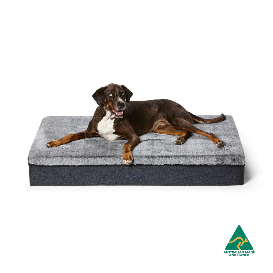 Snooza Big Dog Bed – Chinchilla