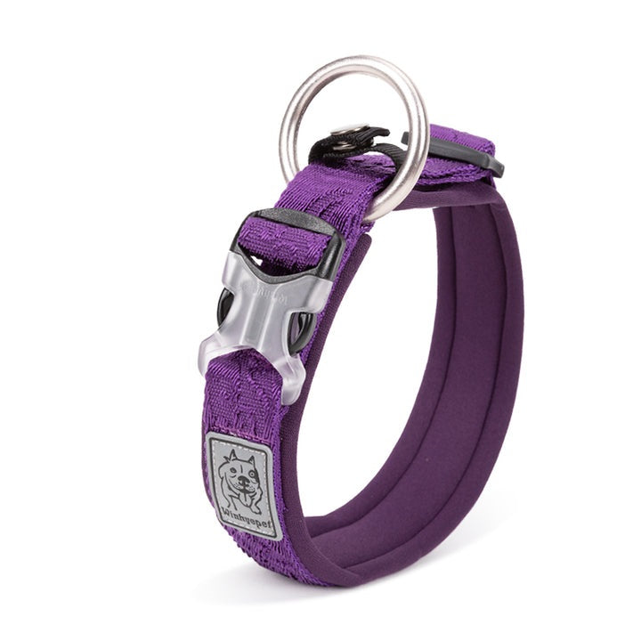 Whinhyepet Collar purple - 2XL