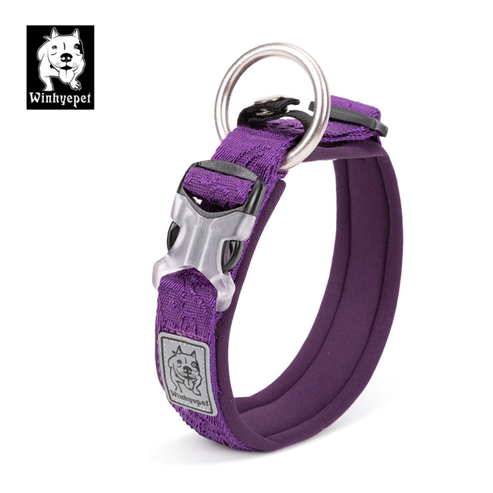 Whinhyepet Collar purple - M