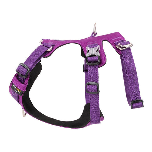 Whinhyepet Harness Purple 2XS