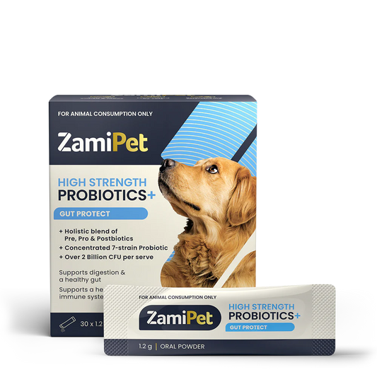 ZamiPet High Strength Probiotics+ Gut Protect Oral Powder - 30 x 1.2g