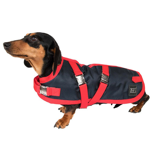 ZeeZ Waterproof Supreme Dachshund Dog Coat – Navy Stone/Red