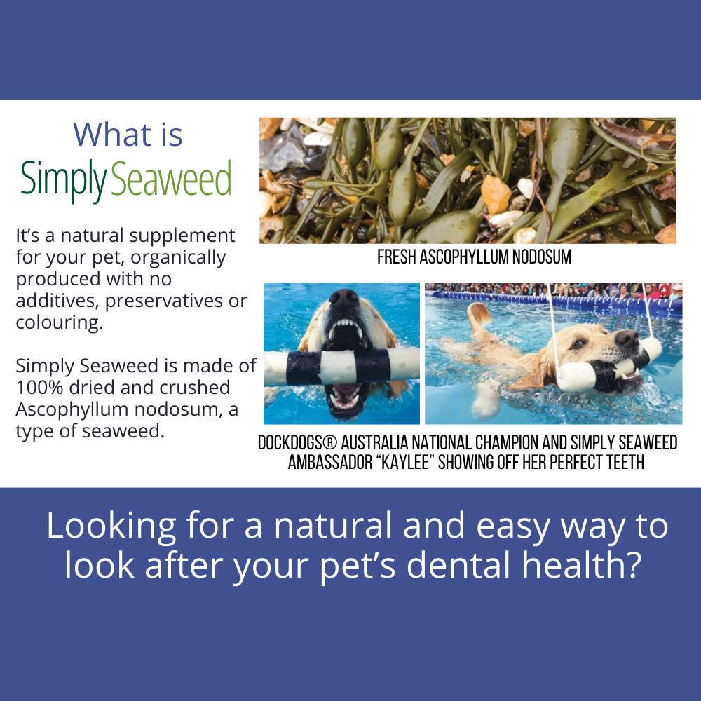 Simply Seaweed Natural Dental Health Care for Cats & Dogs - 1.5kg