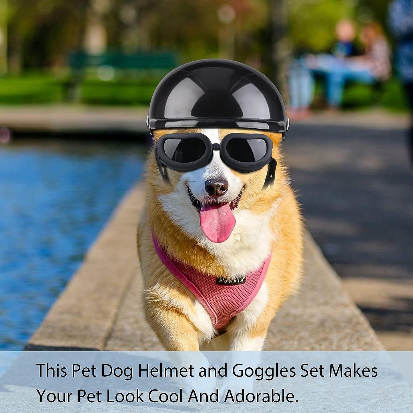 Dog Helmet & Goggles Black Small