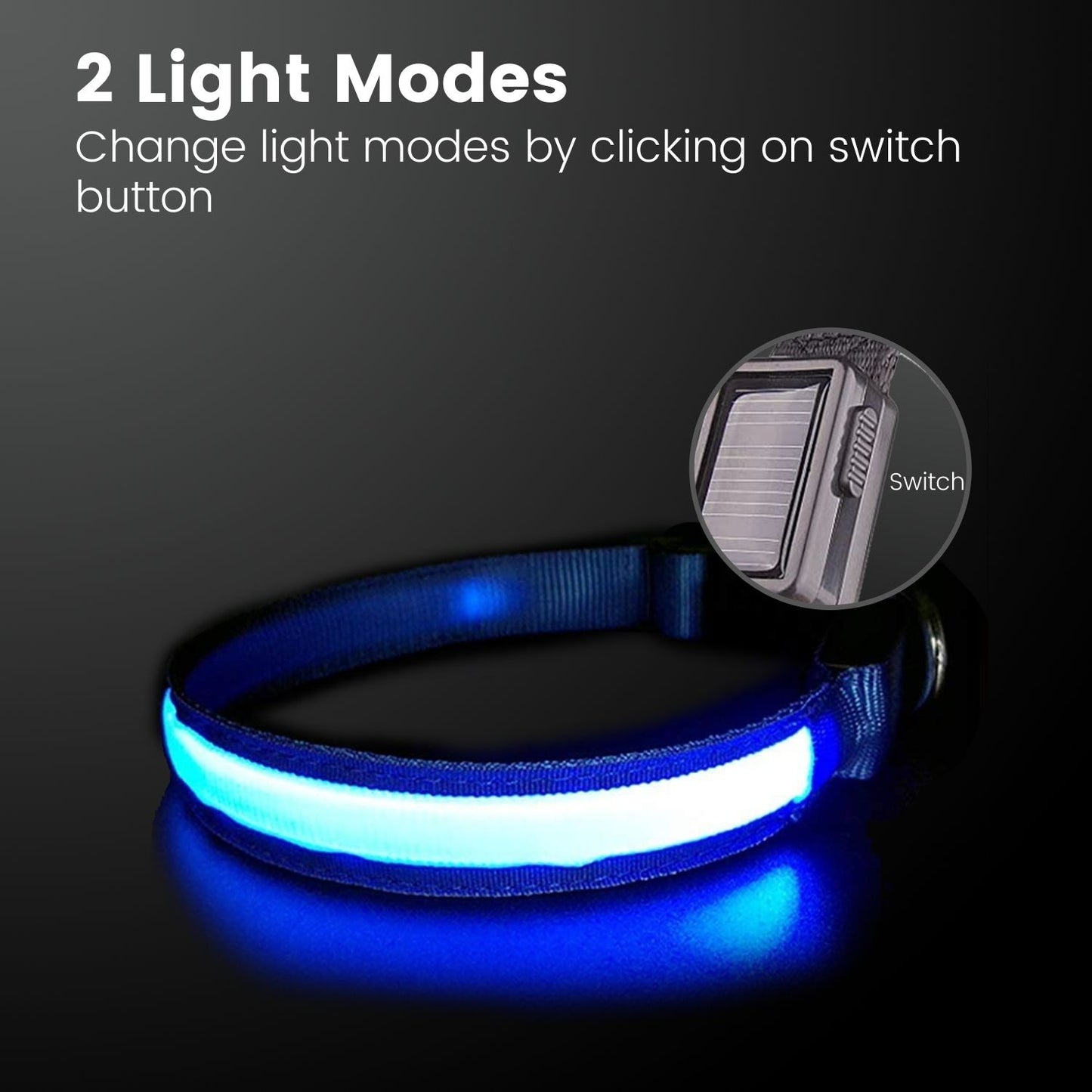 Floofi Solar USB Rechargable LED Dog Collar Blue - M