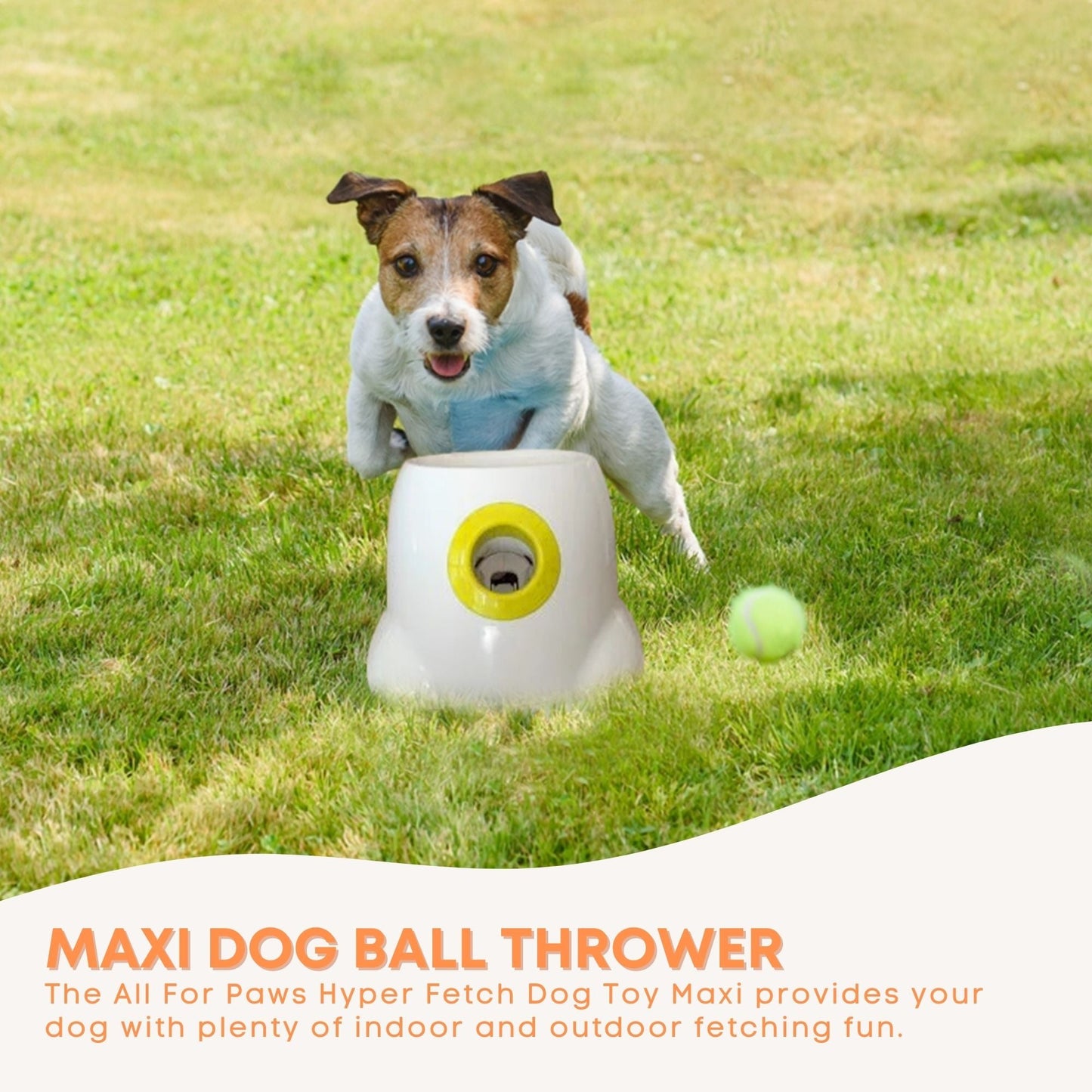 All For Paws Hyper Fetch Maxi Dog Ball Thrower - Large