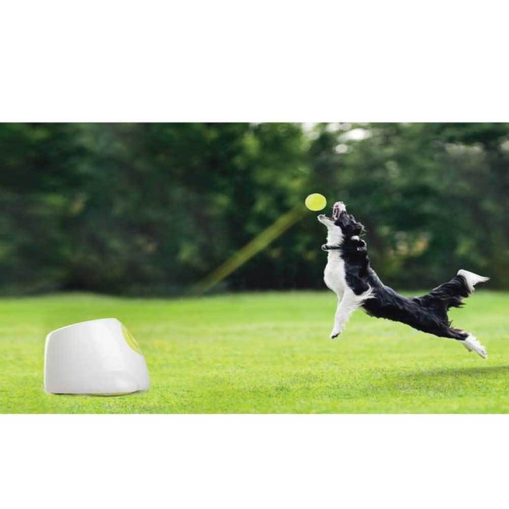 All For Paws Hyper Fetch Maxi Dog Ball Thrower - Large