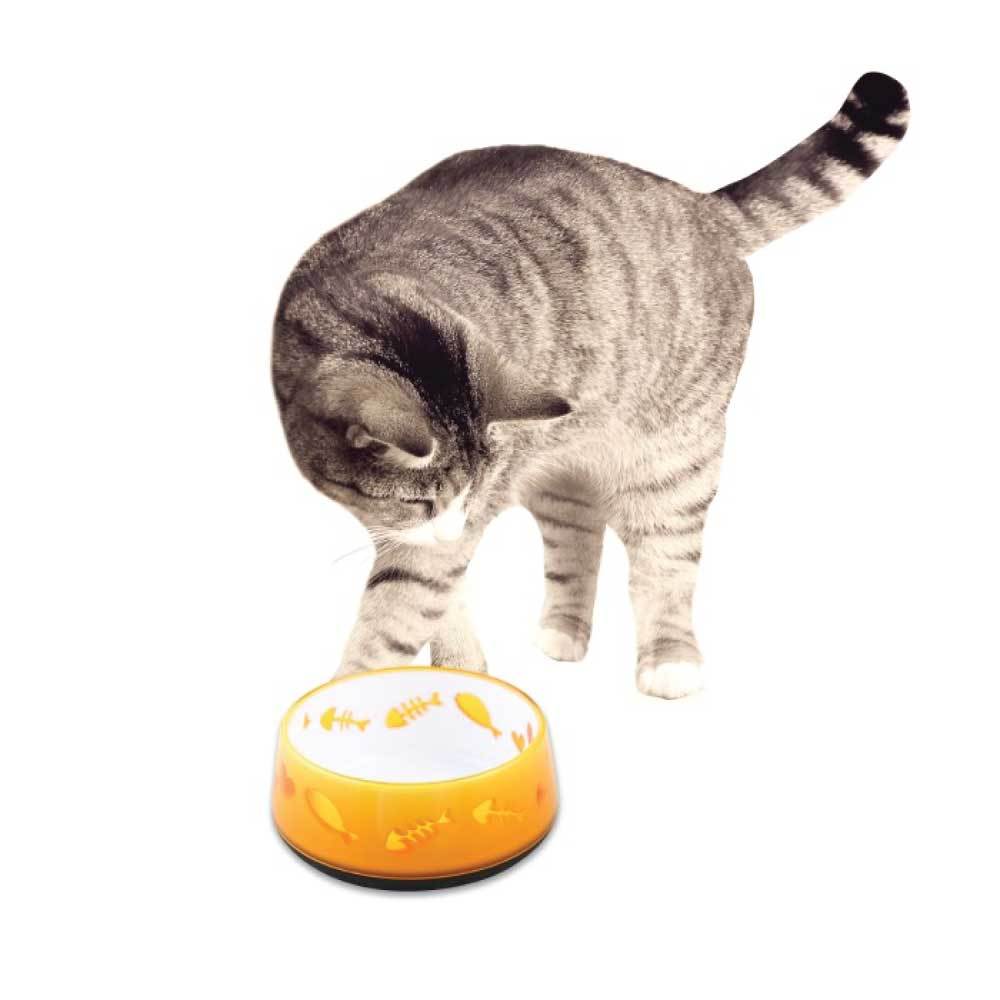 All For Paws Cat Bowl "Love Cat" 300ml - Orange