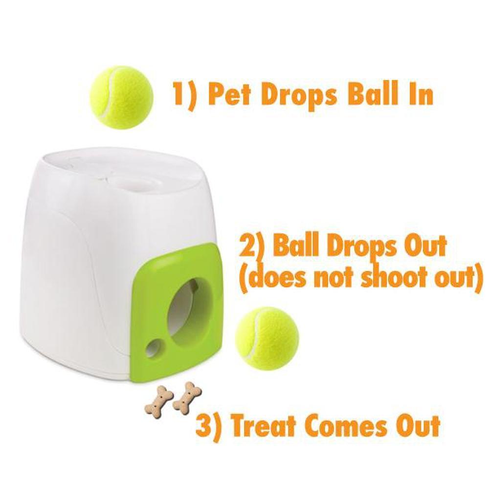 All For Paws Fetch N Treat Dog Toy - Interactive Play and Reward