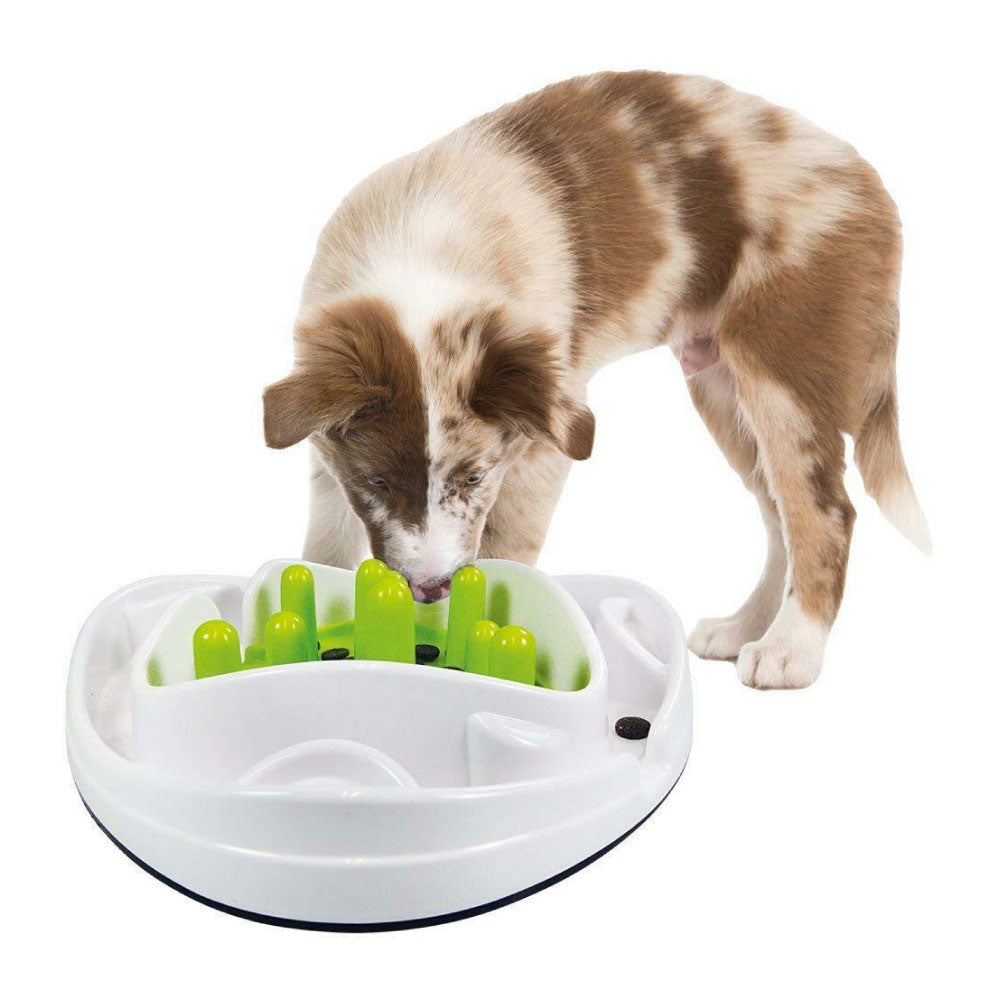 All For Paws Dog Bowl Food Maze Interactive Treat Feeder