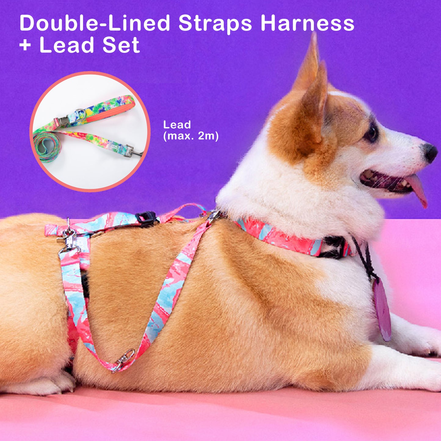 Banhamsisun Dog Double-Lined Straps No Pull Harness and Lead Set SWEET GREEN - Small